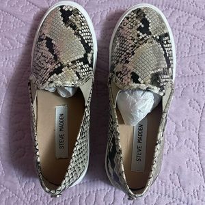 NWT Steve Madden Sneakers